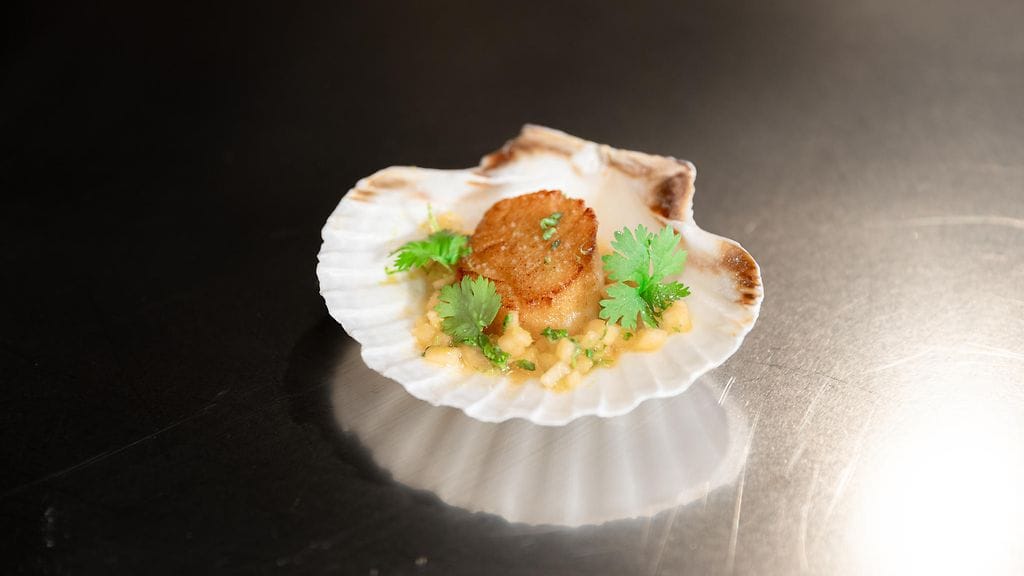 MasterChef: Paistettua kampasimpukkaa ja cantaloupe salsaa, Marin resepti