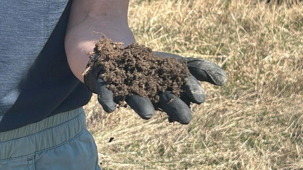 Multa, maaperänäyte, peltomaa