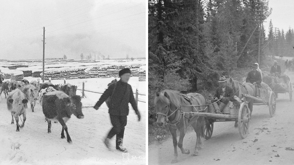 Evakoita Karjalankannaksella vuonna 1939 ja Juvalla vuonna 1941.