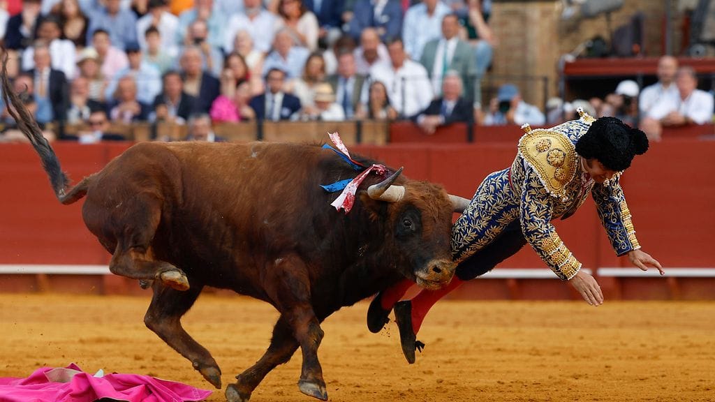 Matadorin peräaukkoa ja sulkijalihasta jouduttiin korjaamaan sairaalassa.