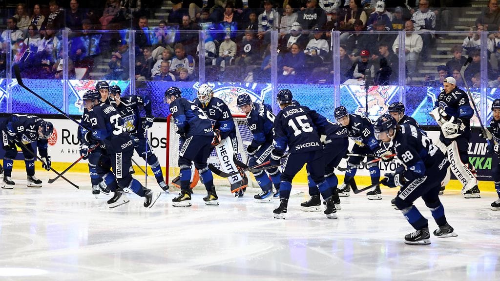 Leijonat paukutteli maaleja reilulla kädellä.