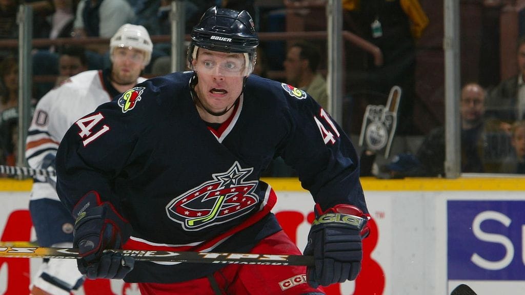 Matt Davidson pelasi SM-liigan lisäksi 465 AHL-runkosarjaottelua ja 56 ottelua NHL:n runkosarjassa.