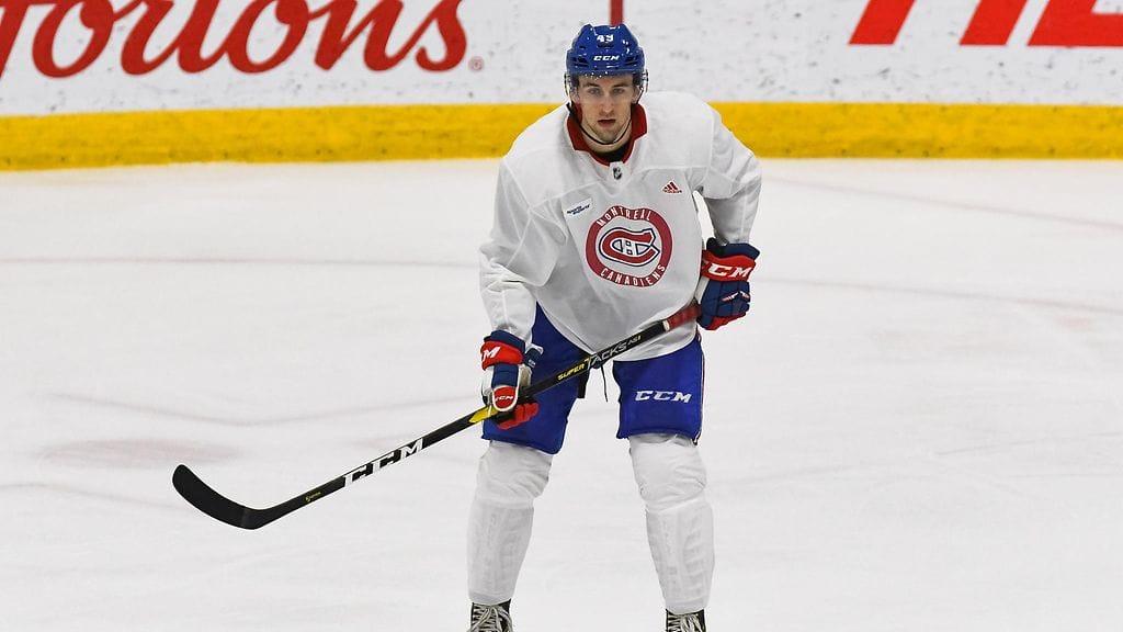 Liam Hawel pääsi näyttämään osaamistaan Montreal Canadiensin kehitysleirillä 2019. Hän pelasi myöhemmin seuran AHL-joukkue Laval Rocketissa.