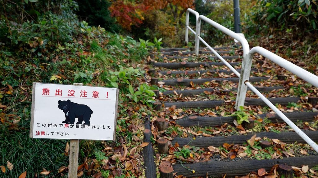 Kyltti varoitti karhuista Akitan prefektuurissa Koillis-Japanissa marraskuussa 2025.