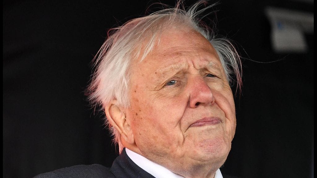 Sir David Attenborough viettää syntymäpäiviä perjantaina 8.5.
