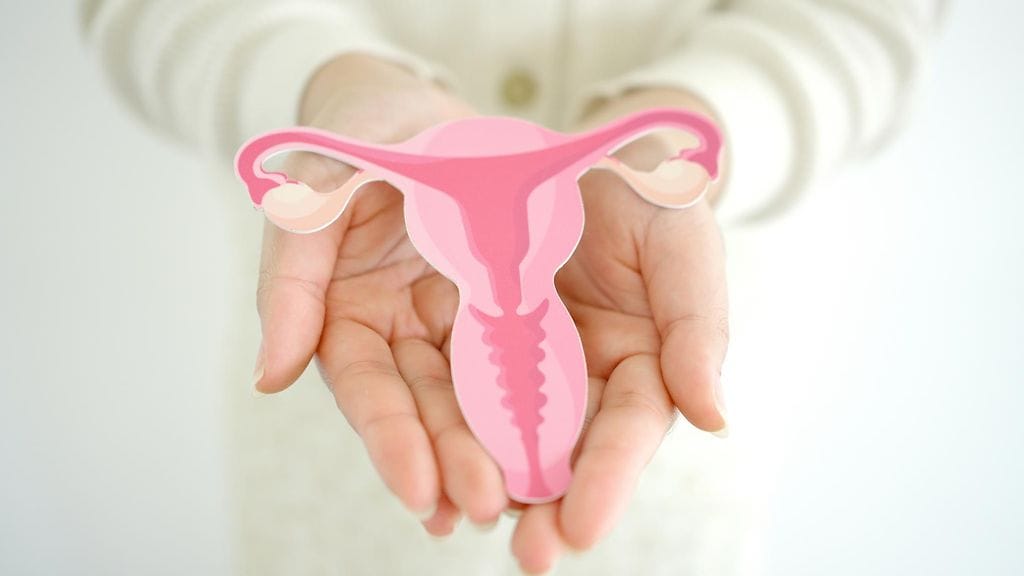 PCOS eli munasarjojen monirakkulaoireyhtymä tunnetaan jatkossa nimellä PMOS. Kuvituskuva.