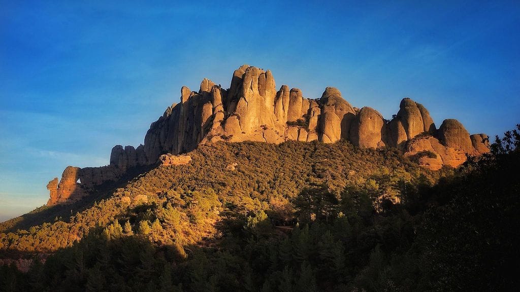 AOP Montserrat