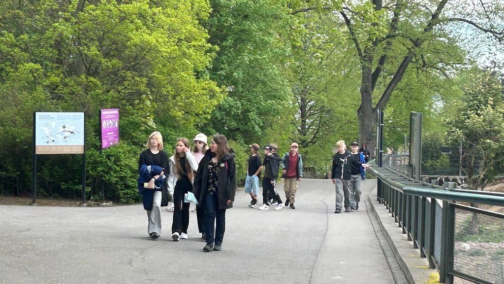 Luokkaretki, Korkeasaari
