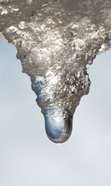 Kun ilmasto lämpenee, myös punkit leviävät.