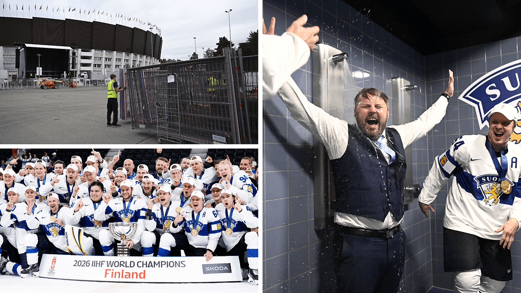 leijonat tori