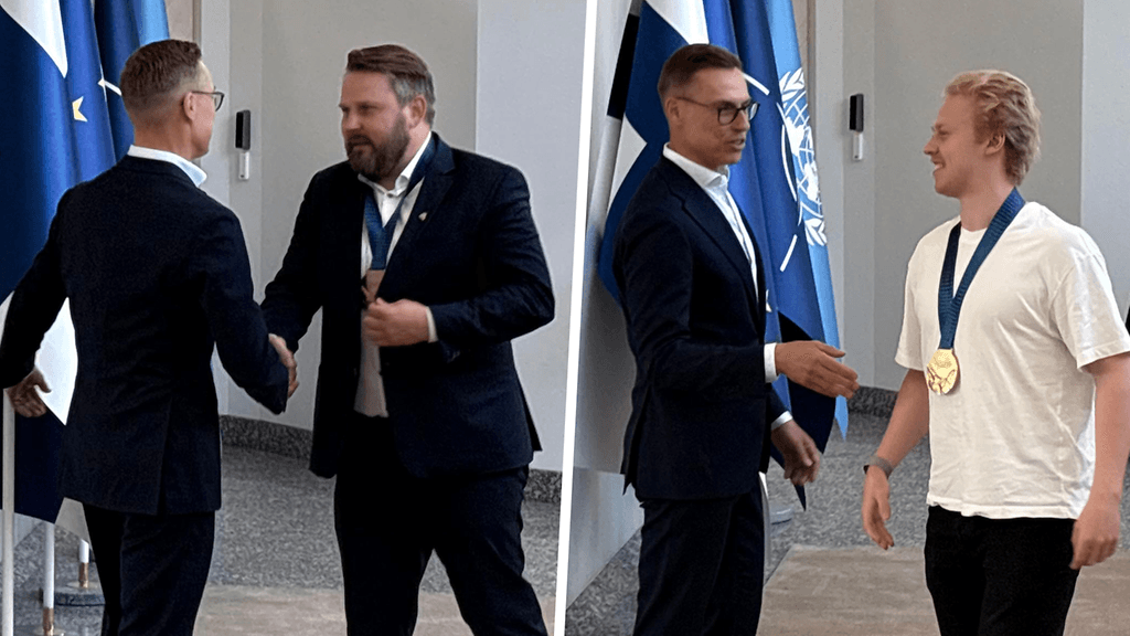 kollaasi_leijonat_stubb