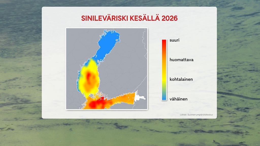 Sinileväennuste, grafiikka