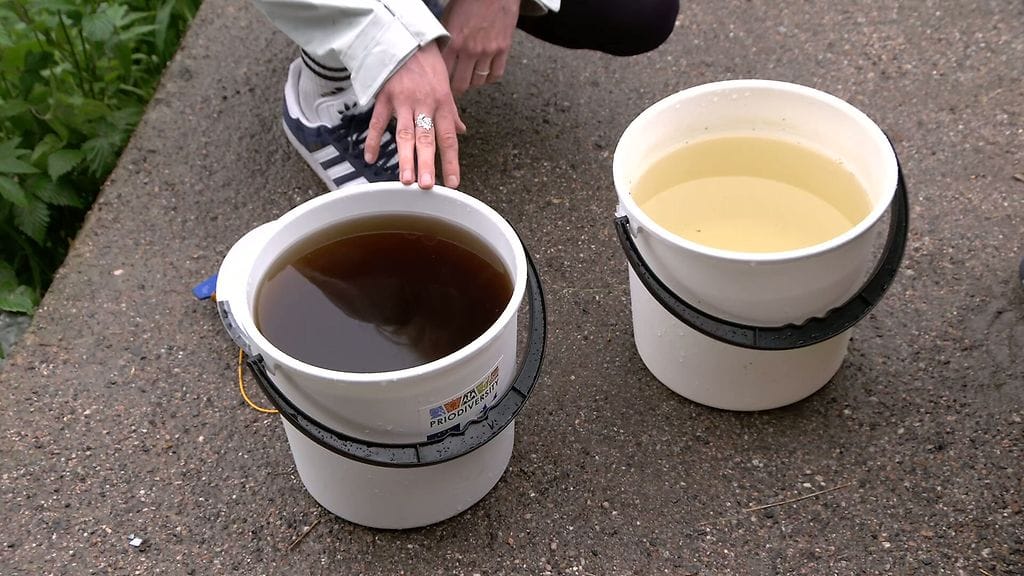 Vedet tummuvat ämpärit Viiden jälkeen