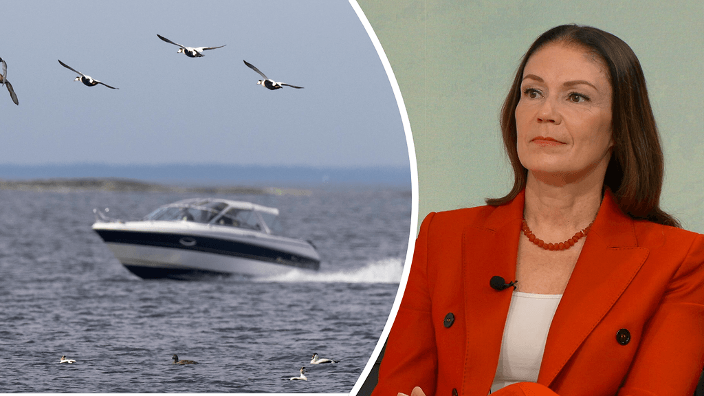 Pelastusliivipakolla voitaisiin Ranteen mukaan pelastaa vuosittain jopa 15–25 henkilöä.