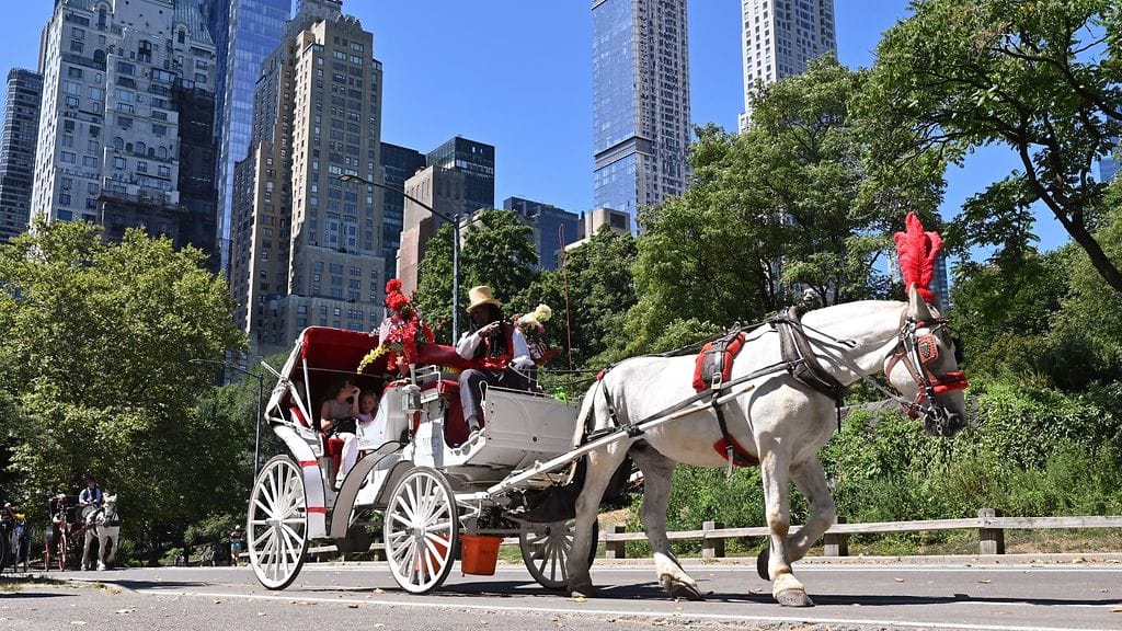 Kuvituskuva hevoskärryajelulta New Yorkista vuodelta 2022.