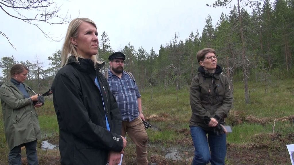 Ministeri Sari Multala (kuvassa keskellä etualalla) on tyytyväinen soiden ennallistamisesta saatavaan kaksoishyötyyn.