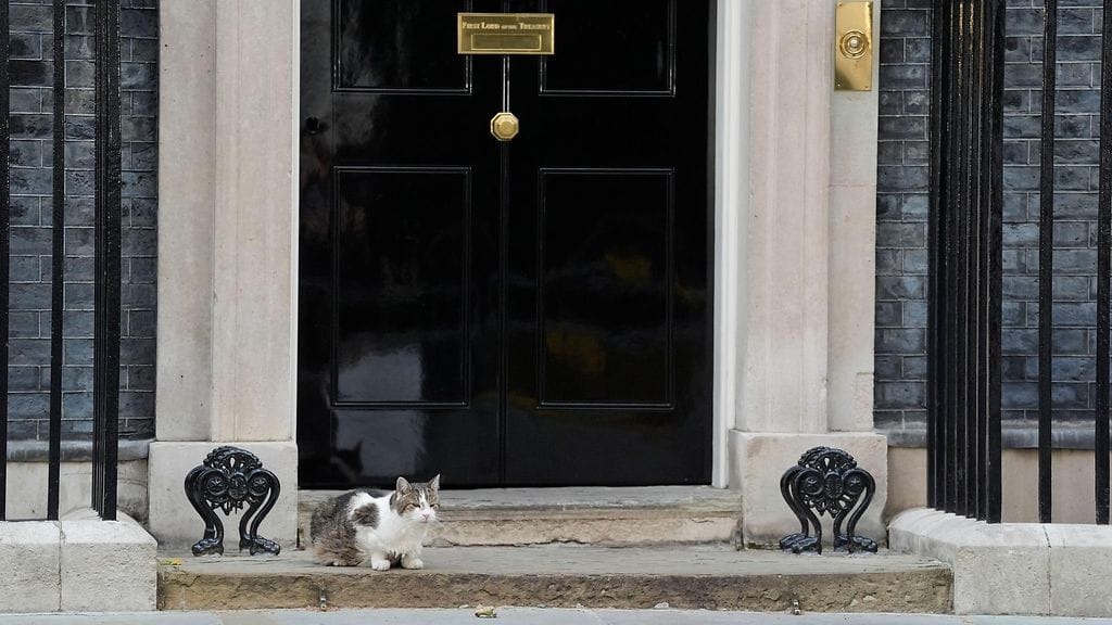 Larry-kissa Downing Street 10:n edustalla Westminsterissä.