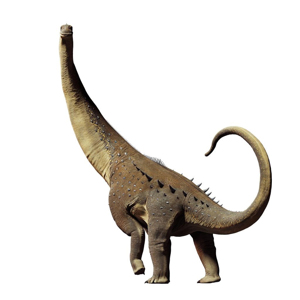 Titanosaurus