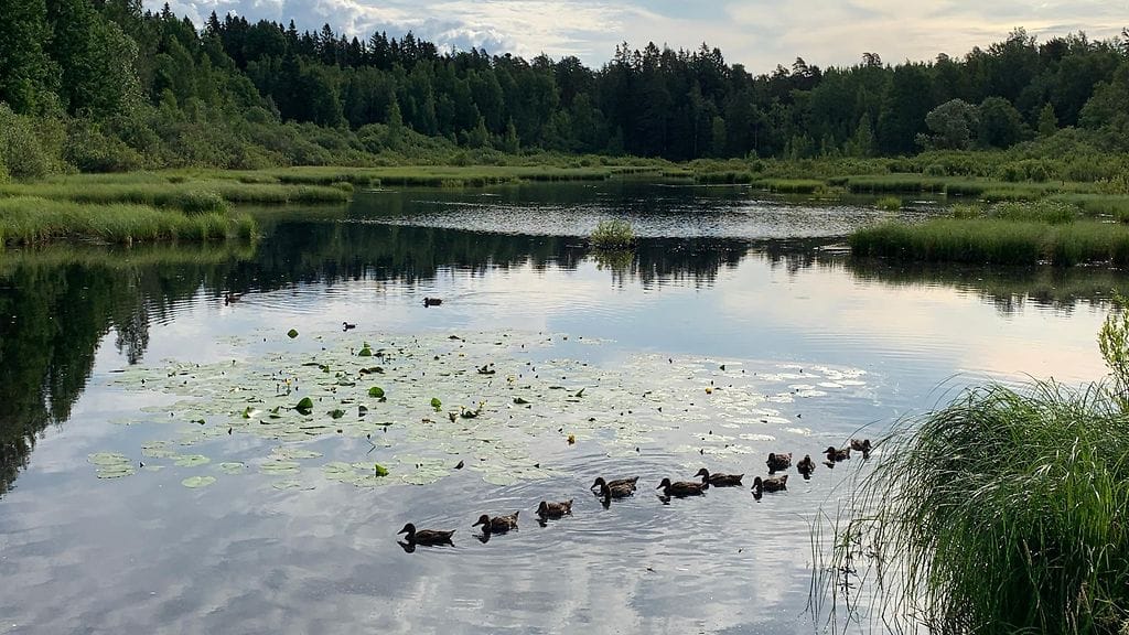 0107-sääkuva