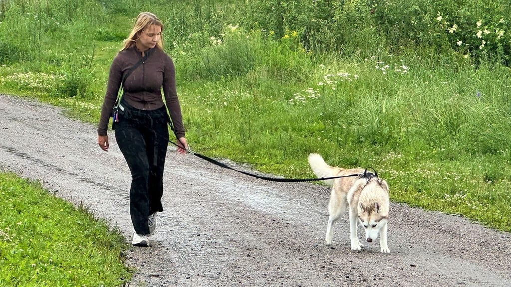 Saga Sollman ja Kida