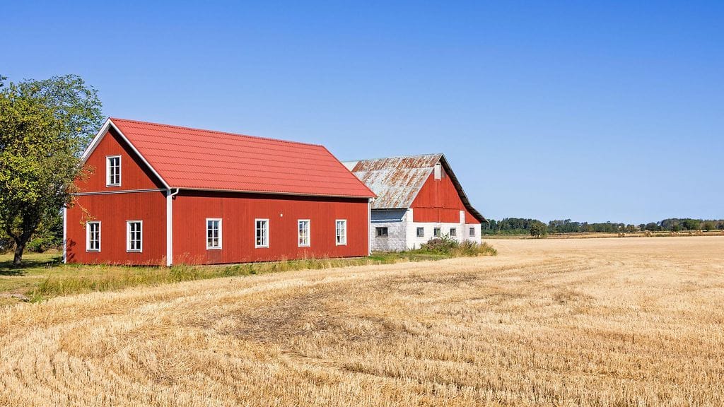 Kuvituskuva. Kuvan tila ei liity tapaukseen.