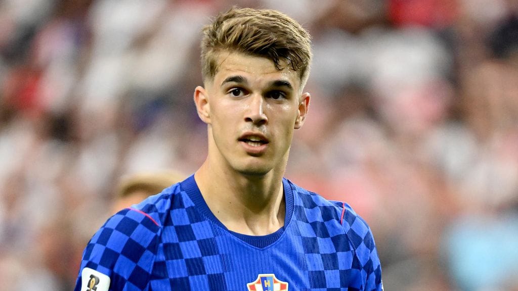 Luka Vuskovic, 19, on jatkossa Brightonin pelaaja.