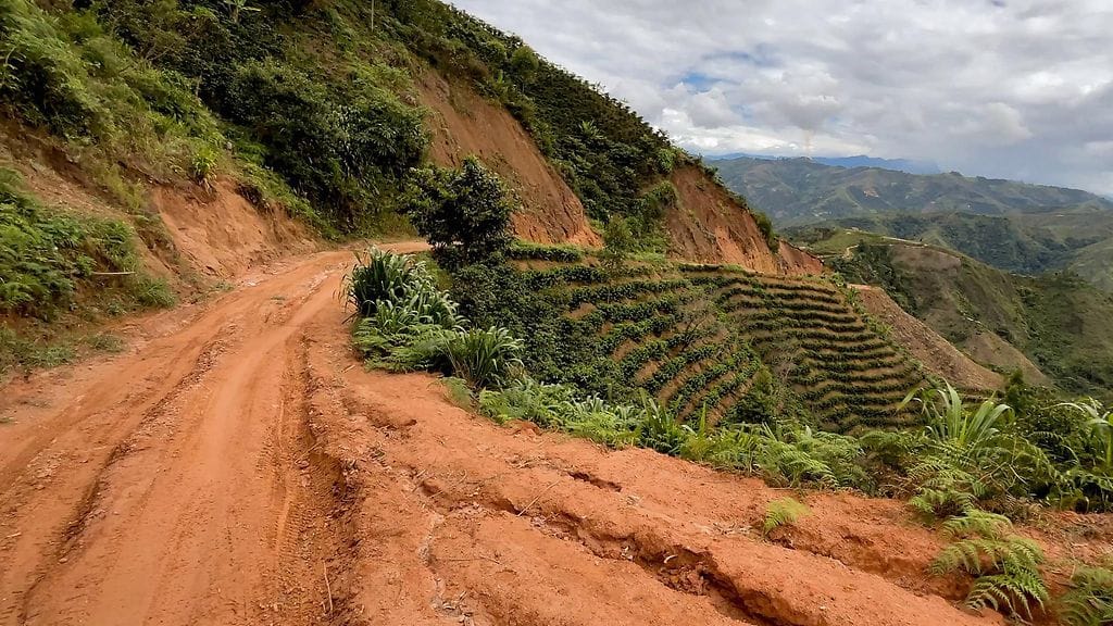 Kuvaa Perusta.