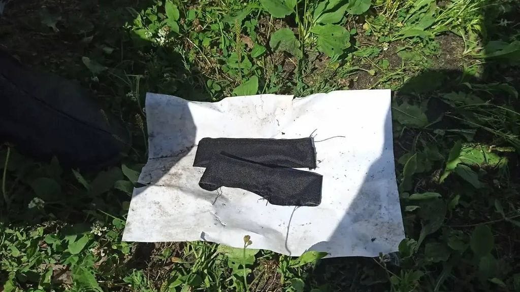 Kissa valjastettiin huumeiden salakuljetukseen Venäjällä 2