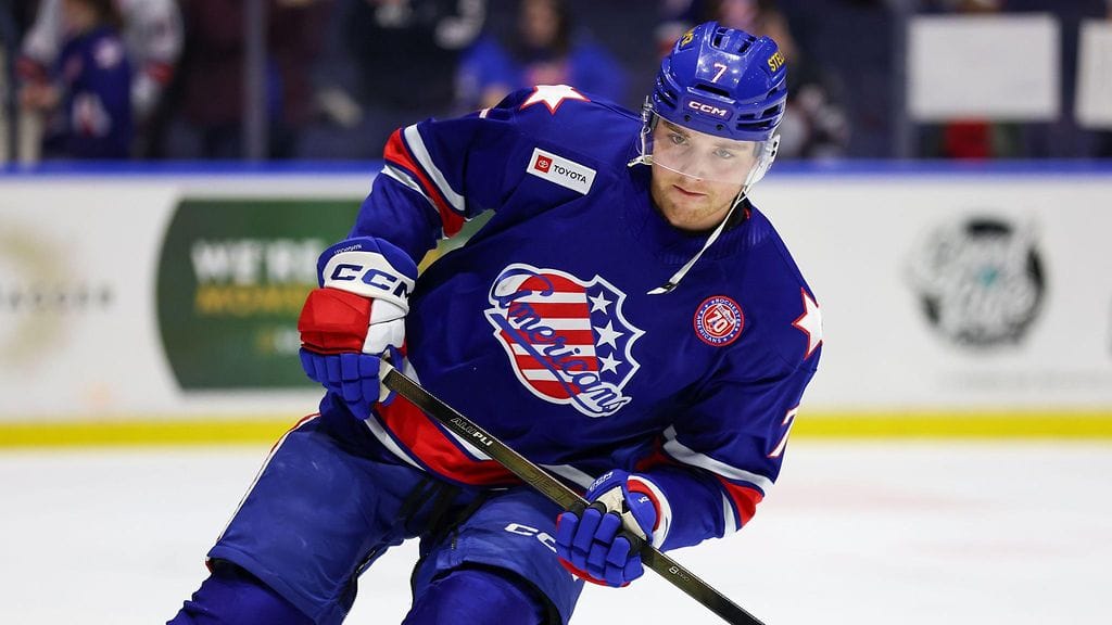 Jake Leschyshyn edusti AHL:ssä ennen Rochester Americansia Henderson Silver Knightsia, Hartford Wolf Packia ja Chicago Wolvesia.
