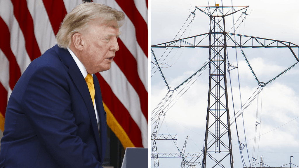 Yhdysvaltain presidentti Donald Trump määräsi kanadalaisille tuotteille vastikään uusia tulleja 20 miljardin Yhdysvaltain dollarin arvosta.