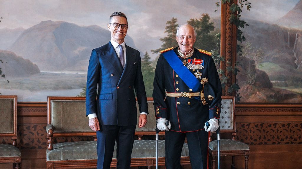AOP harald stubb