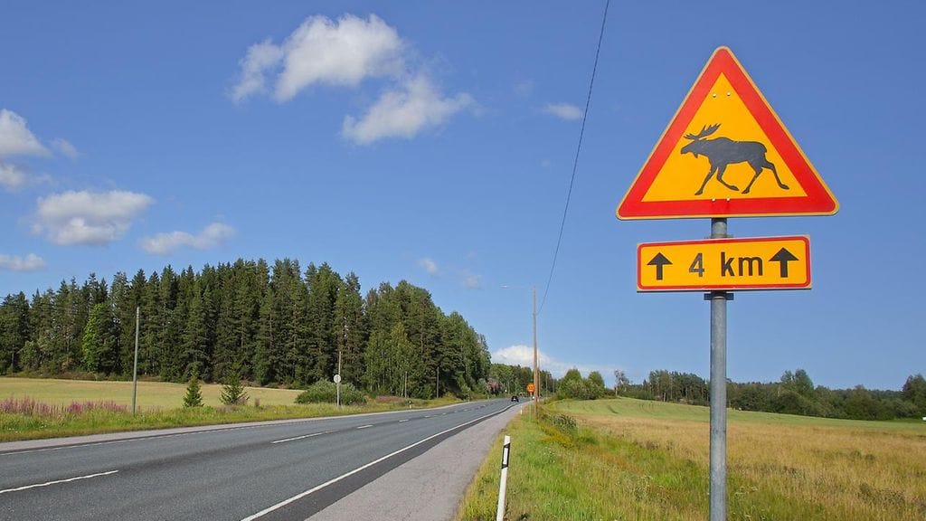 Hirvistä varoittavan liikennemerkin vaikutusalueella olisi olennaista tehostaa havainnointia entisestään.
