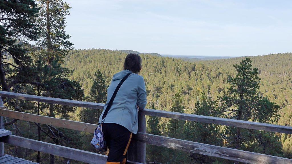 Matkailijavero on käytössä useissa EU-maissa.