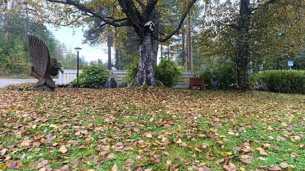 0109-sääkuva