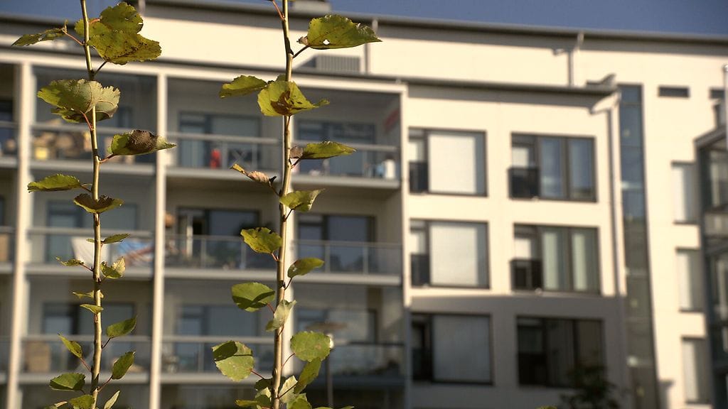 OMA Vantaa Asola henkirikos (1)