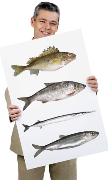 Kuva: Futureimagebank.com