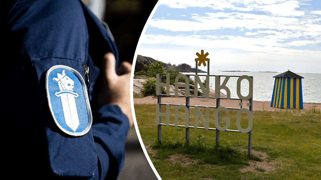 ahoinpitelyt ovat olleet julkisilla paikoilla ja uhreina on ollut ulkopuolisia.