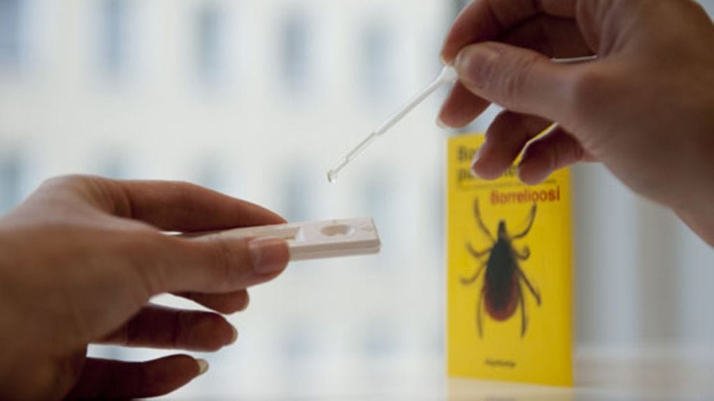 Borrelioosin toteamiseen on kehitetty kotitestejä.