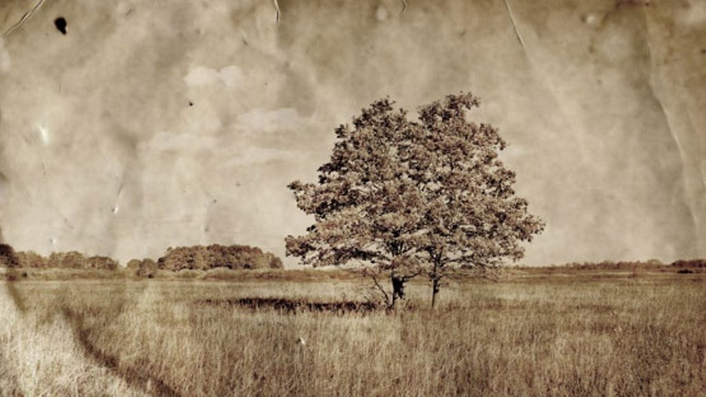 Leenan juuret selvisivät vasta aikuisiällä.