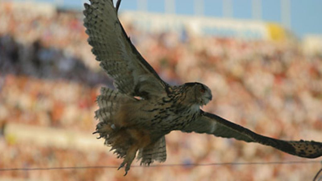 (Kuva: Lauri Ouvinen / MTV Oy)