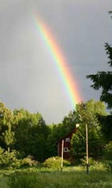 Elä luontoa kunnioittaen.