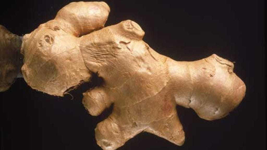 Inkivääri on hyväksi terveydelle.