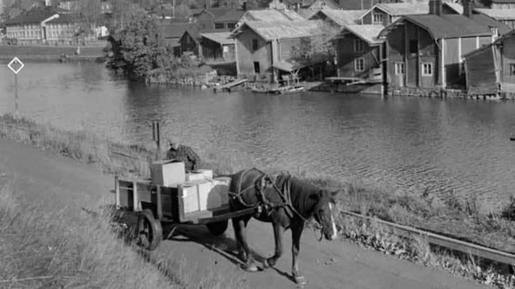 Hevonen oli sodassa tärkeä eläin, jota käytettiin hädän tullen myös ravinnoksi.