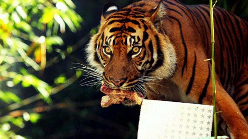 Kuva: Cameron Spencer/Getty/AOP