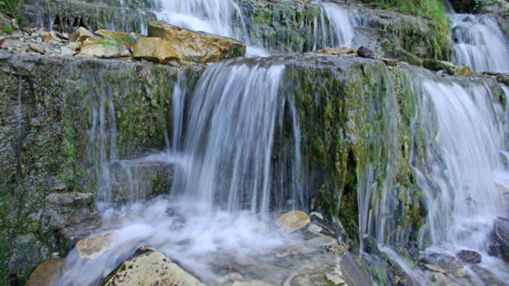 Laittaisitko sinä ottmamasi luontokuvat nettiin?