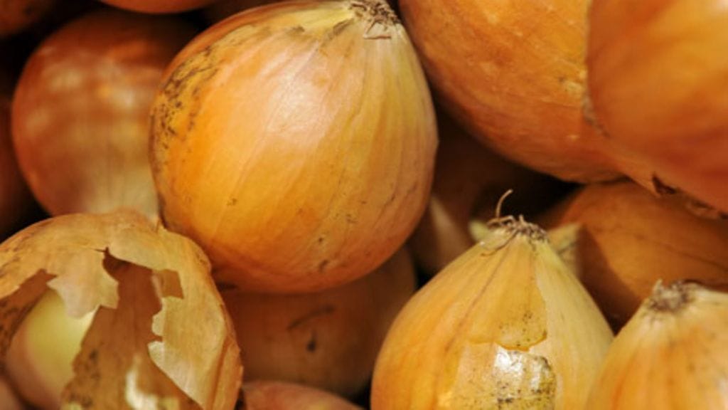 Lehtikuva/Pekka Sakki