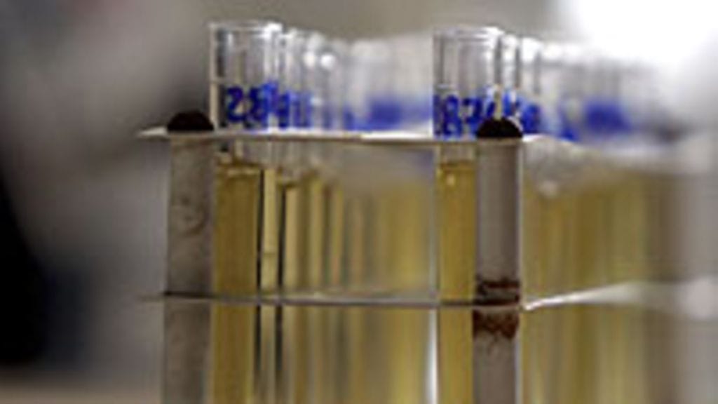 (Kuva: Ian Waldie/Getty Images)