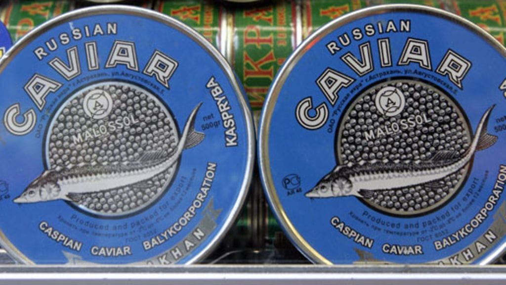 Lehtikuva/Sari Gustafsson