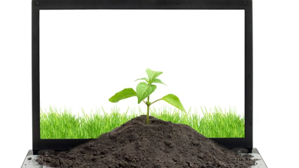 Elämä jatkuu mullan allakin.