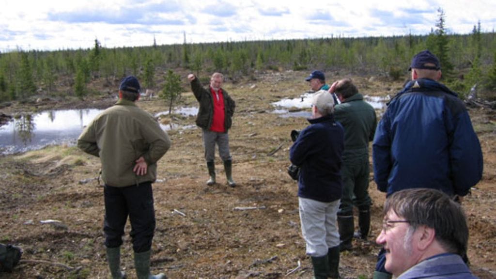 Kuva/Eelis Pulkkinen